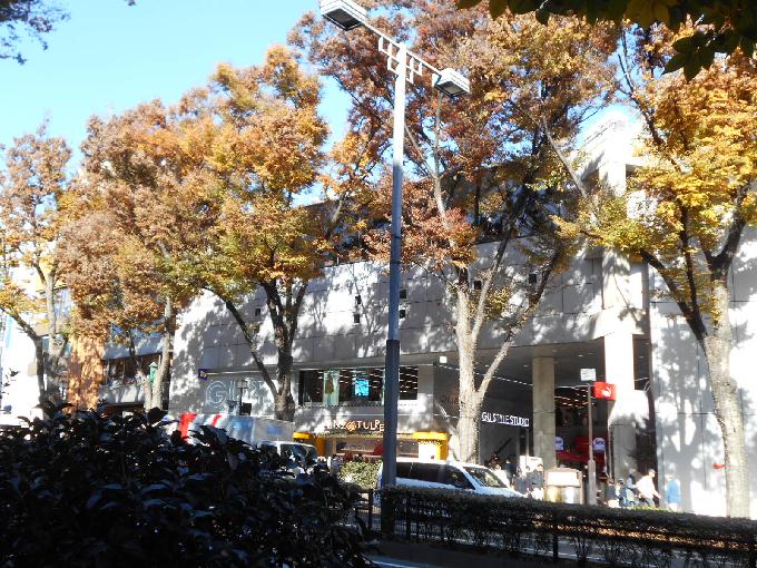 原宿クエストビル