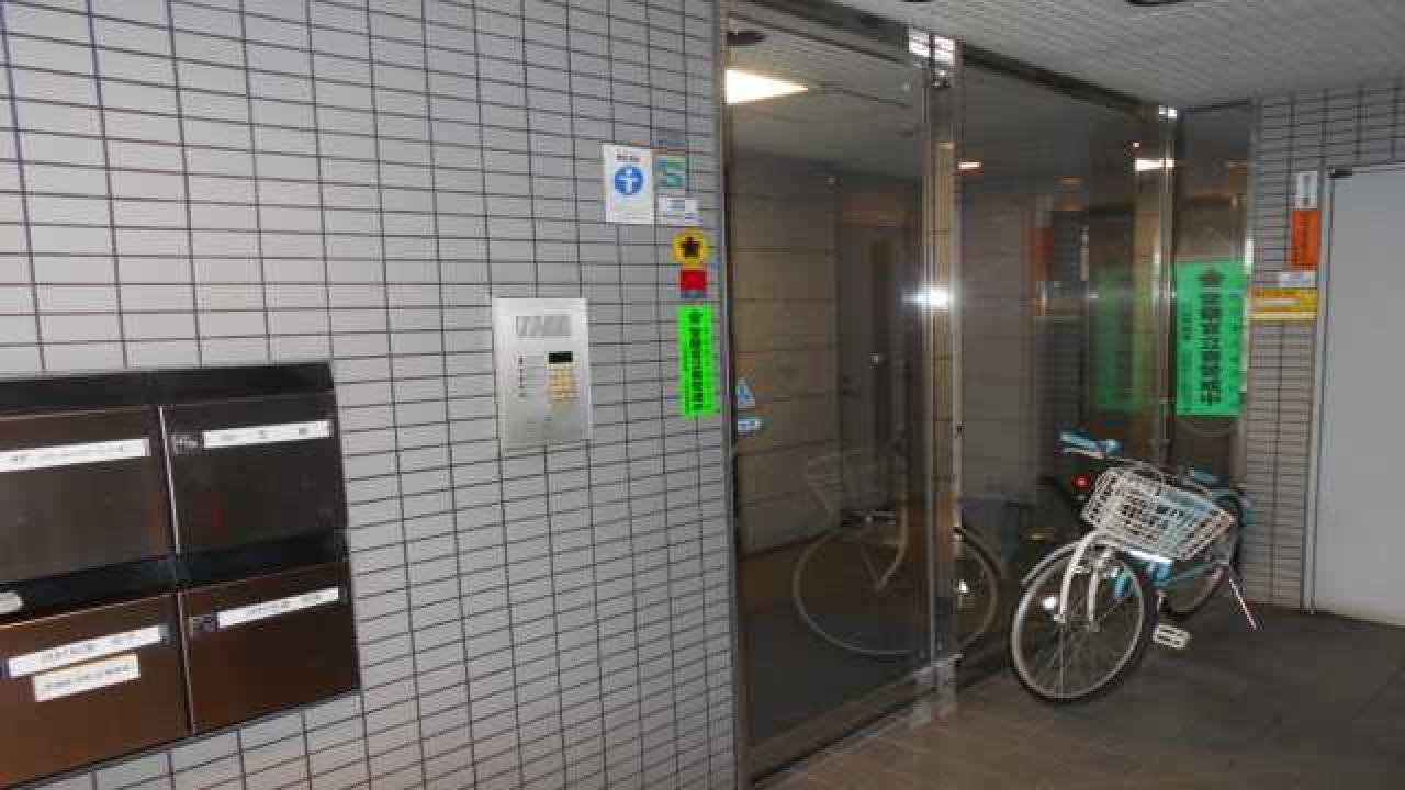 ファインラック芝