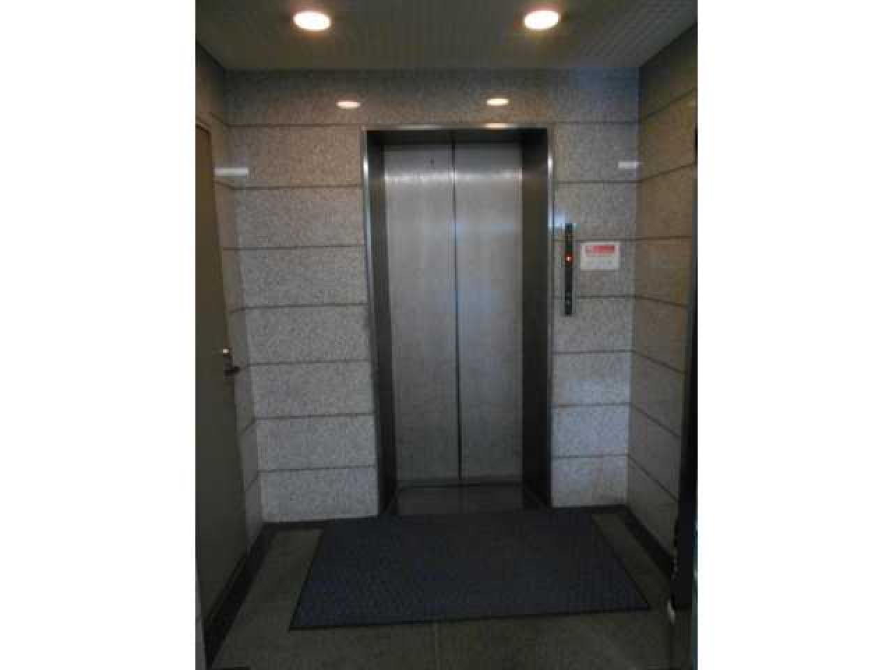 ファインラック芝