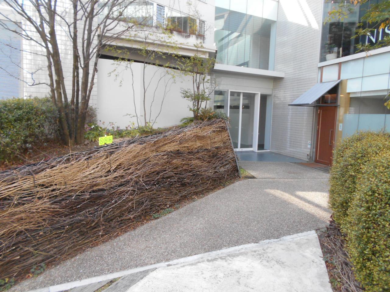 AOYAMA346