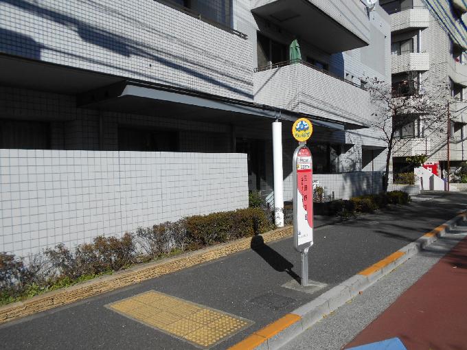 シャネックス