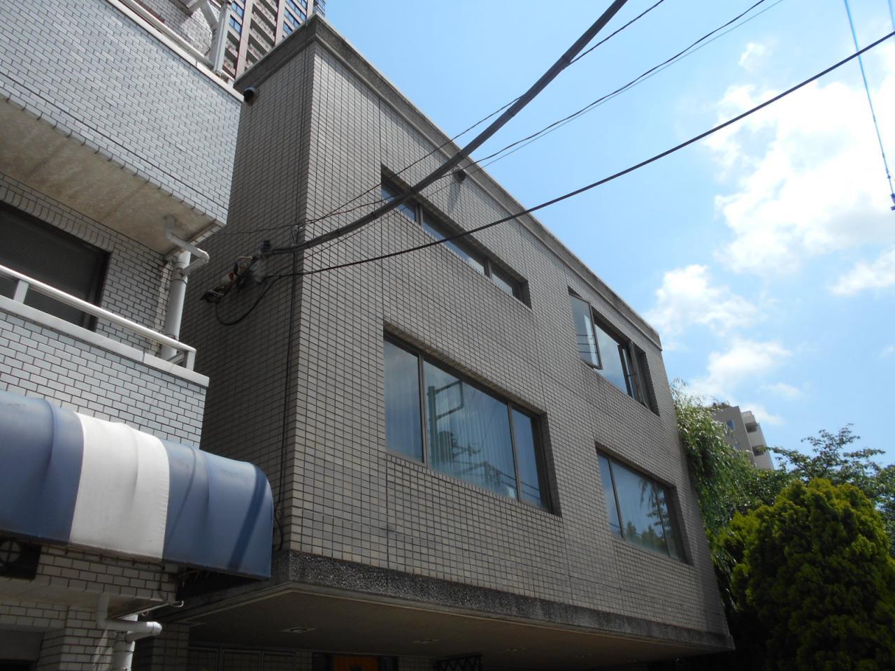 トリプレックスヤナギワラ