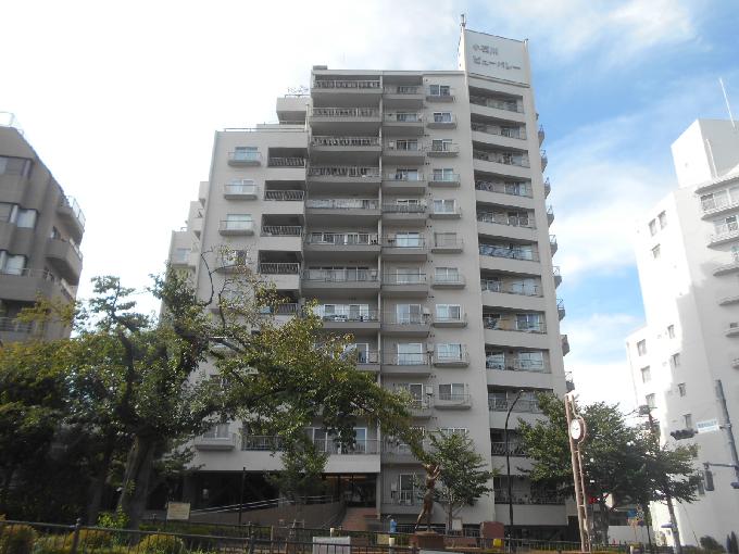 小石川ビューパレー
