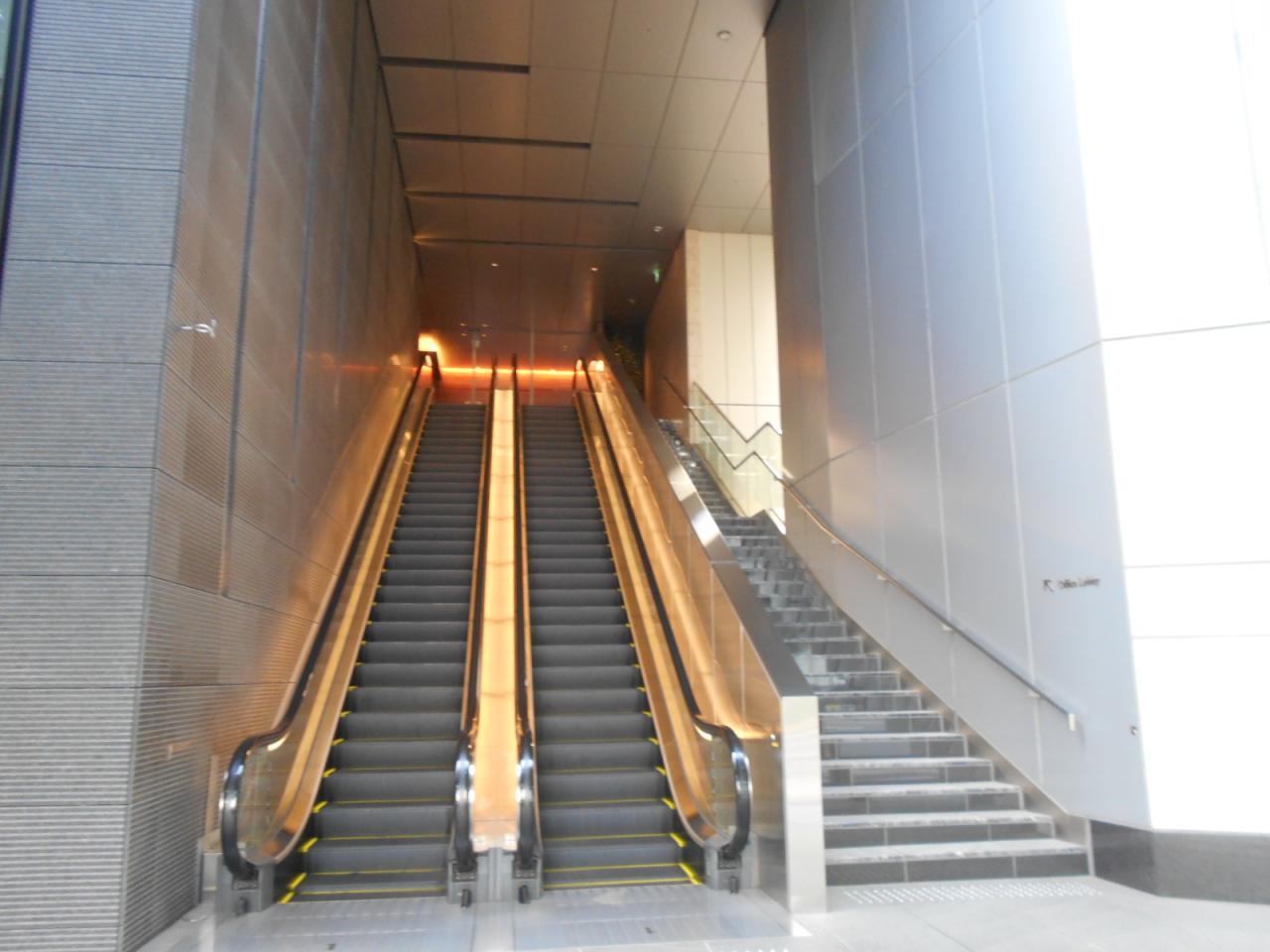 the ARGYLE aoyama