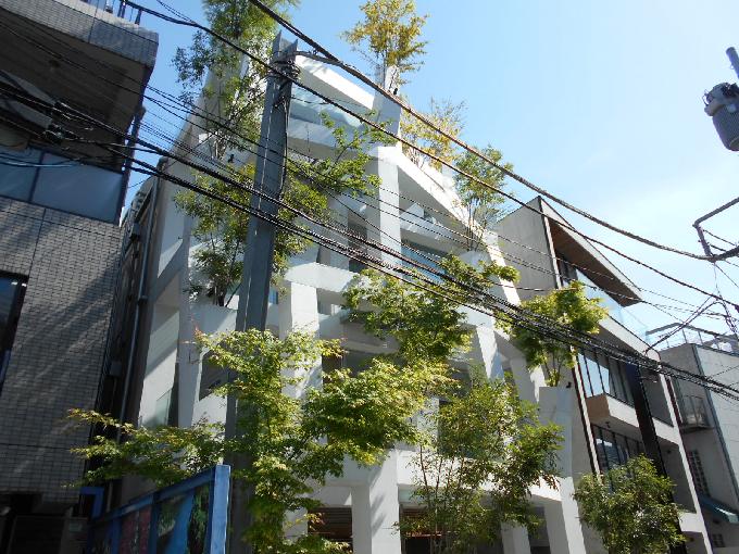 Omotesando Branches