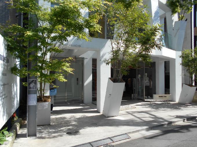 Omotesando Branches