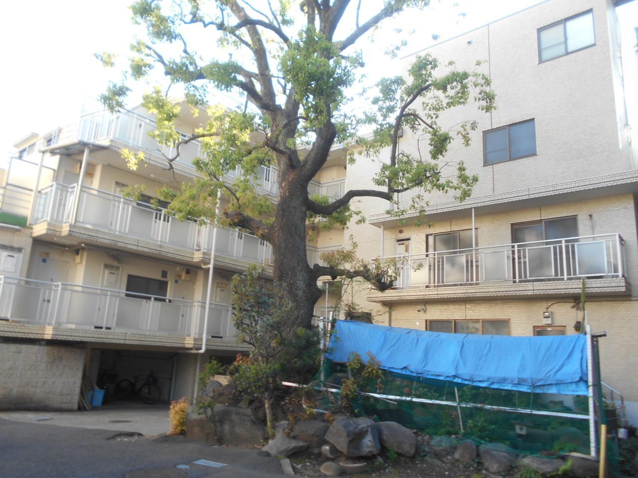 シグマロイヤルハイツB棟