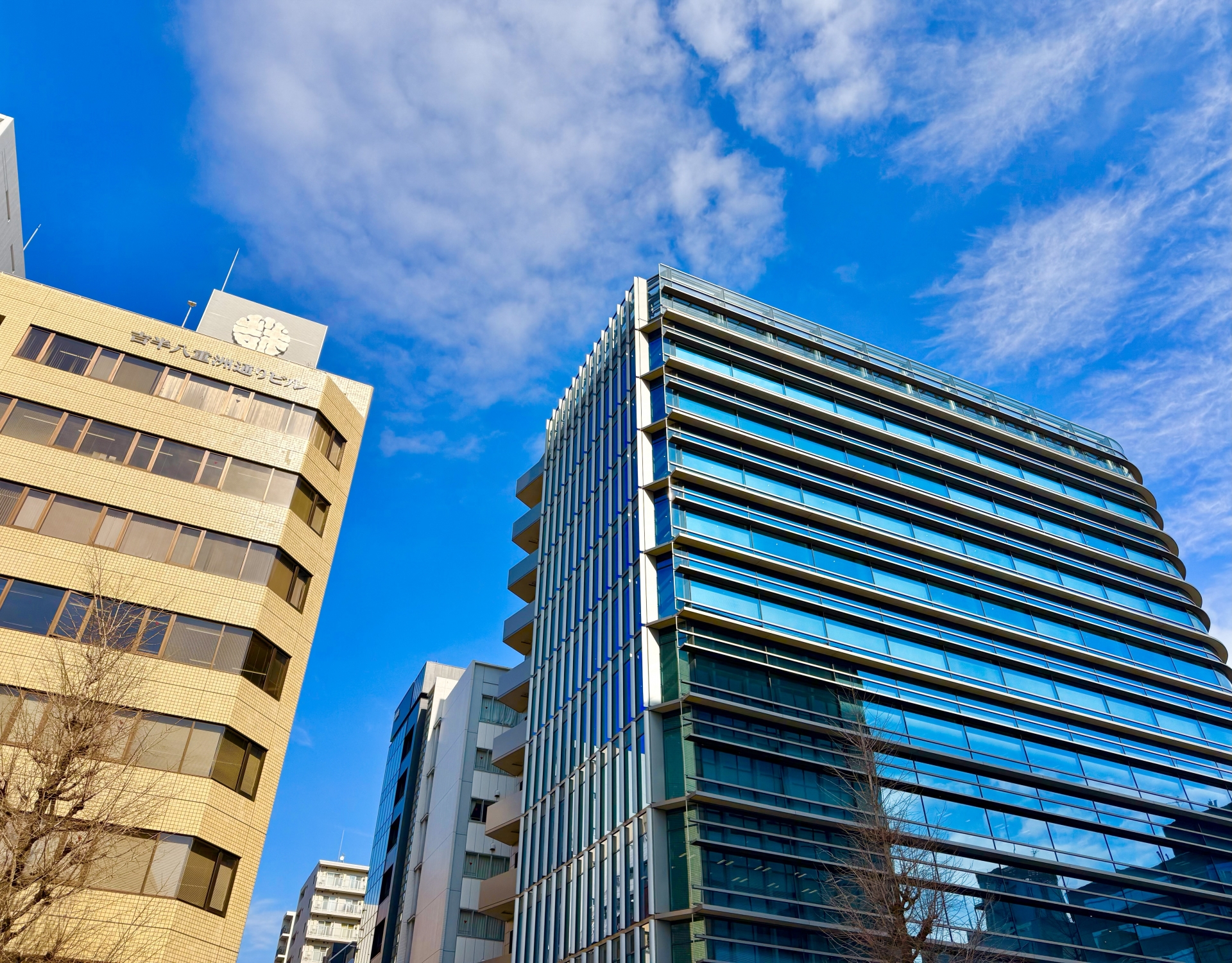 オフィス緑化の効果とは？科学的根拠から導入方法まで徹底解説